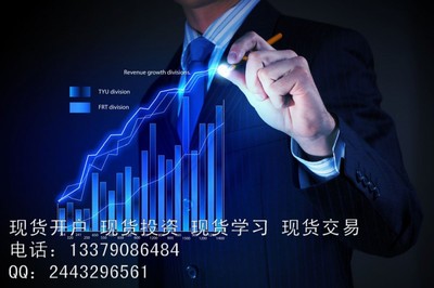 西安創寰商務信息咨詢 現貨投資一站式服務專家